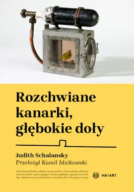 Read: Rozchwiane kanarki, Book głębokie doły