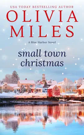 Read: Small Town Christmas Book