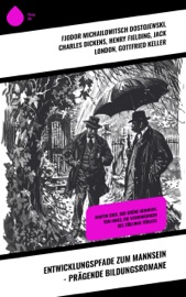 Entwicklungspfade zum Mannsein - Prägende Bildungsromane - Fjodor Michailowitsch Dostojewski, Charles Dickens, Henry Fielding, Jack London, Gottfried Keller, Voltaire, Jean-Jacques Rousseau, Johann Wolfgang von Goethe, Christoph Martin Wieland, Laurence Sterne, Selma Lagerlöf, Frances Hodgson Burnett, Mark Twain, Rudyard Kipling, Gustave Flaubert, Paul Scheerbart, André Gide, Adalbert Stifter & Roberto Musil