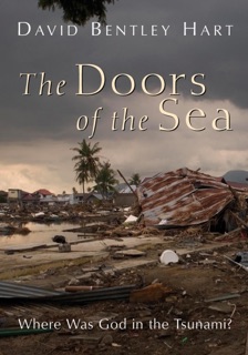The Doors of the Sea by David Bentley Hart