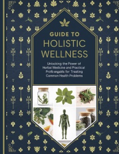 Guide to Holistic Wellness