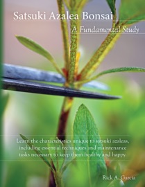 Satsuki Azalea Bonsai: A Fundamental Study