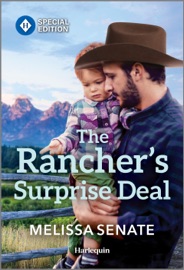 The Rancher's Surprise Deal - Melissa Senate