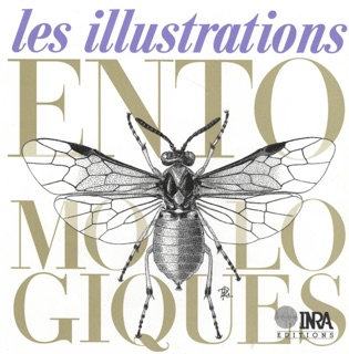 Les illustrations entomologiques by Jacques d'Aguilar, Rémi Coutin, Alain Fraval, Robert Guilbot & Claire Villemant