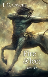 Fire & Ice by J. C. Owens