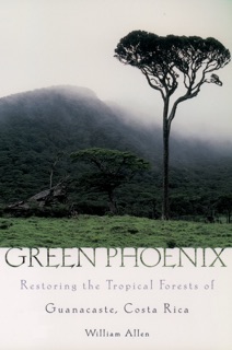 Green Phoenix by William Allan