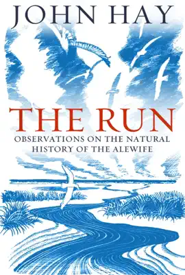 The Run