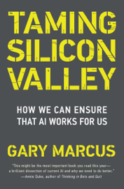 Taming Silicon Valley