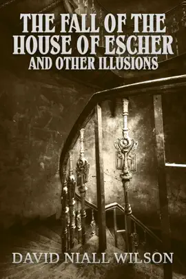 Read: Book The Fall of the House of Escher and Other Illusions