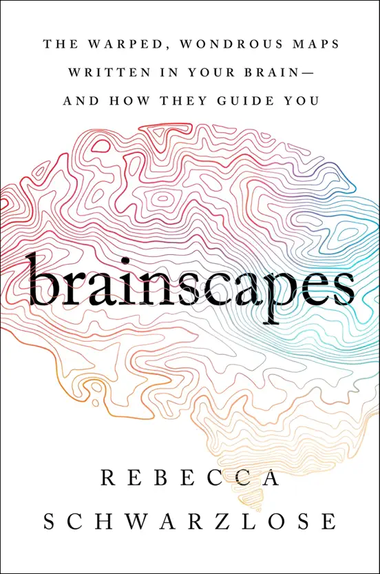 Brainscapes