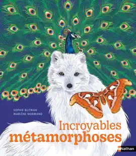 Read: Incroyables métamorphoses - Album documentaire - Book Dès 7 ans