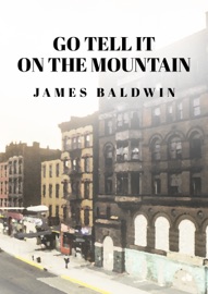 Go Tell It on the Mountain - James Baldwin