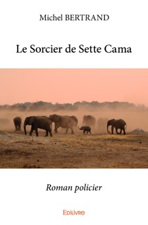 Le Sorcier de Sette Cama by Michel Bertrand