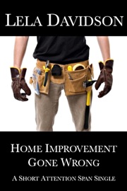 Home Improvement Gone Wrong - Lela Davidson