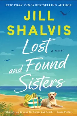 Read: Lost and Found Book Sisters