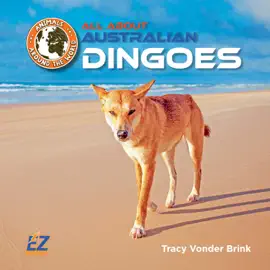 All About Australian Dingoes