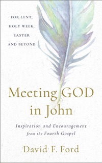 Meeting God in John by David Ford