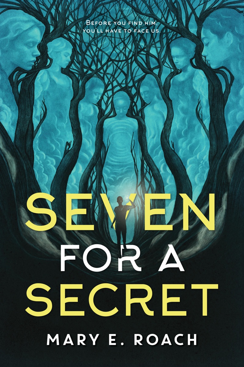 Seven for a Secret by Mary E. Roach cover design