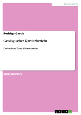 Geologischer Kartierbericht
