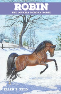 Robin: The Lovable Morgan Horse by Ellen F. Feld