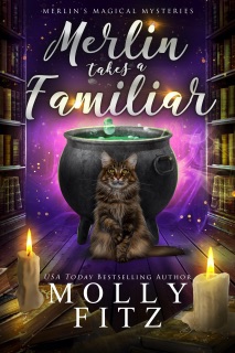 Merlin Takes a Familiar by Molly Fitz