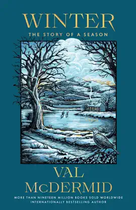Read: Winter