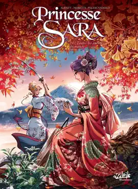 Read: Book Princesse Sara T14 - Toutes les aurores du monde