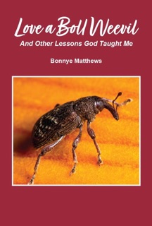 Love a Boll Weevil by Bonnye Matthews