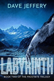 Labyrinth - David Niall Wilson