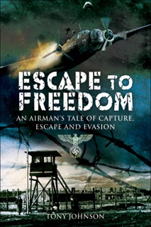 Escape to Freedom by Tony Johnson