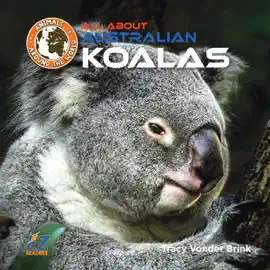 All About Australian Koalas