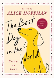 The Best Dog in the World by Alice Hoffman, Isabel Allende, Chris Bohjalian, Bonnie Garmus, Roxane Gay, Emily Henry, Ann Leary, Tova Mirvis, Jodi Picoult, Elizabeth Strout, Amy Tan, Adriana Trigiani, Nick Trout, Paul Yoon & Laura Zigman