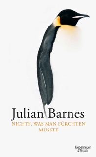 Nichts, was man fürchten müsste by Julian Barnes
