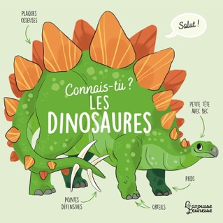 Connais-tu les dinosaures ? by Agnès Besson & Eleonore Della Malva