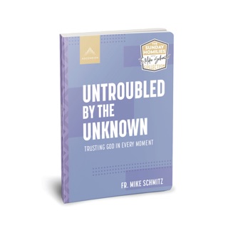 Untroubled by the Unknown by Fr. Mike Schmitz
