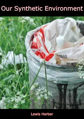 Read: Our Synthetic Book Environment
