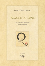 Rayon de lune - Dakpo Tashi Namgyal