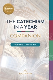 The Catechism in a Year Companion, Volume I by Fr. Mike Schmitz