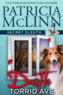 Death on Torrid Ave. (Secret Sleuth, Book 2) by Patricia McLinn