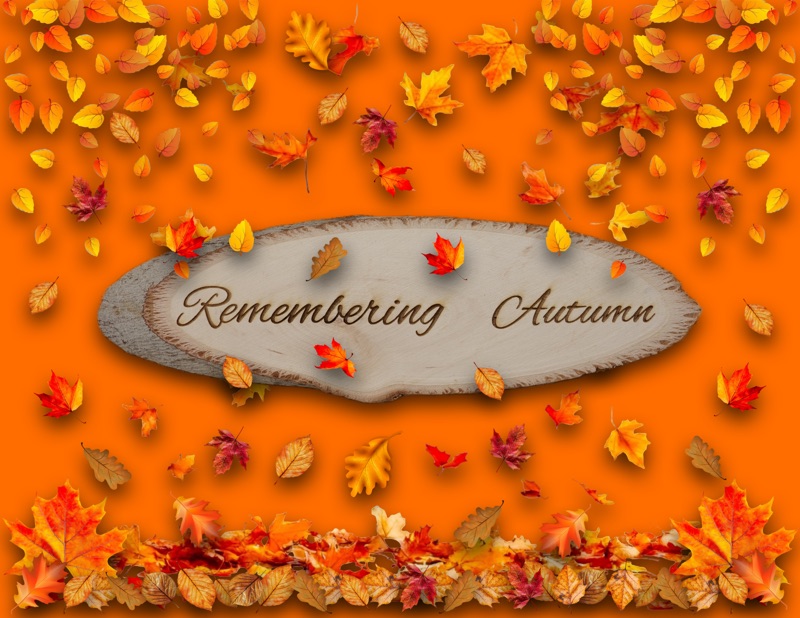 Remembering Autumn