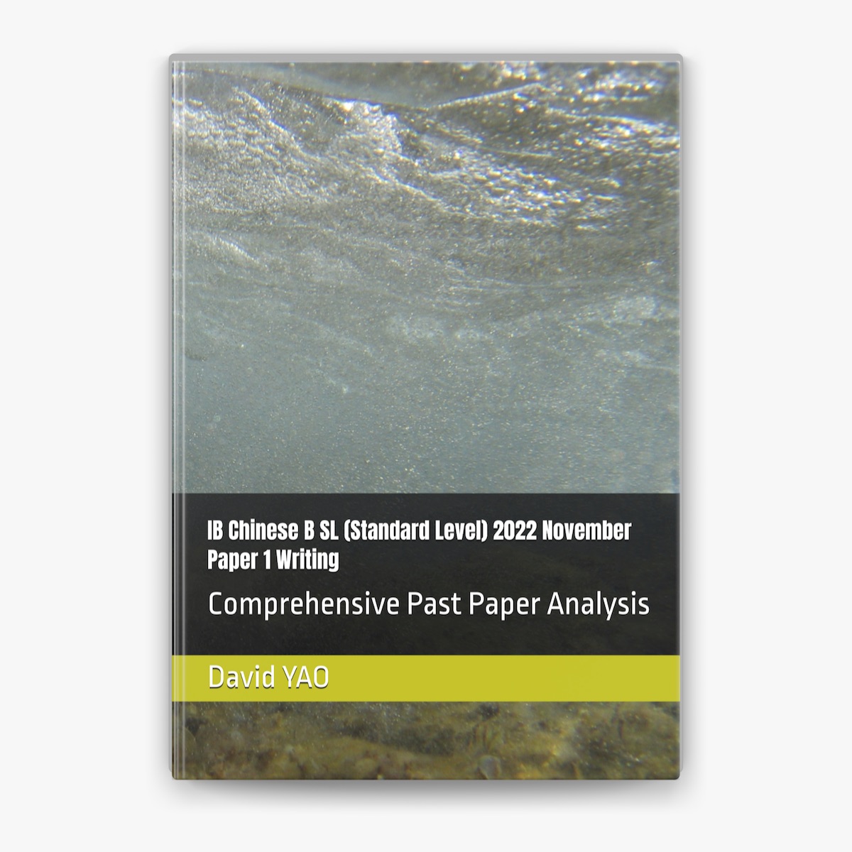 IB Chinese B SL (Standard Level) 2022 November Paper 1 Writing by David Yao  on Apple Books