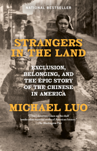 Strangers in the Land - Michael Luo Cover Art