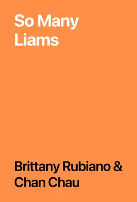 Read: So Many Liams Book