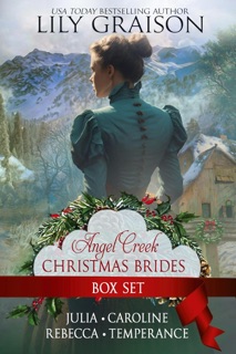 Angel Creek Christmas Brides Box Set: Books 2, 6, 13, and 20 by Lily Graison