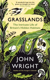 Grasslands by John Wright