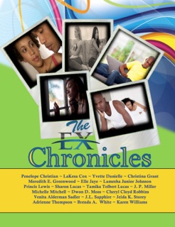The Ex Chronicles by Penelope Christian, LaKesa Cox, Yvette Danielle, Christina Grant, Meredith E. Greenwood, Elle Jaye, Lamesha Junior Johnson, Princis Lewis, Sharon Lucas, Tamika Tolbert Lucas, JP Miller, Michelle Mitchell, Dwon D. Moss, Cheryl Cloyd Robbins, Venita Alderman Sadler, J. L. Sapphire, Jeida K. Storey, Adrienne Thompson, Brenda A. White & Karen Williams