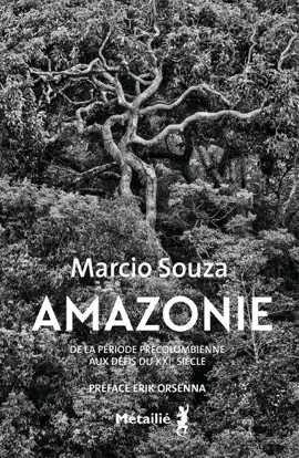 Read: Amazonie : De la Book période précolombienne aux défis du XXIe siècle