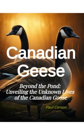 Canadian Geese - Paul Carson