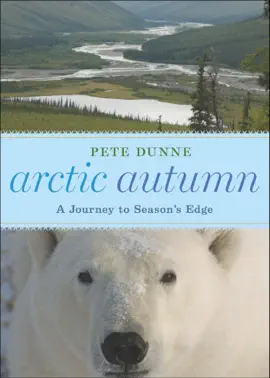 Arctic Autumn