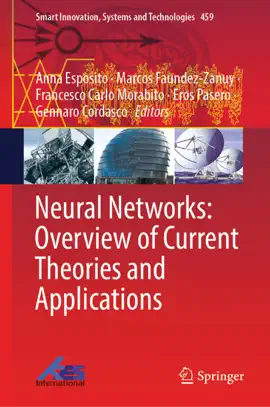 Read: Neural Book Networks: Overview of Current Theories and Applications